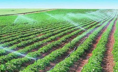 免费观看逼逼抽插视频农田高 效节水灌溉